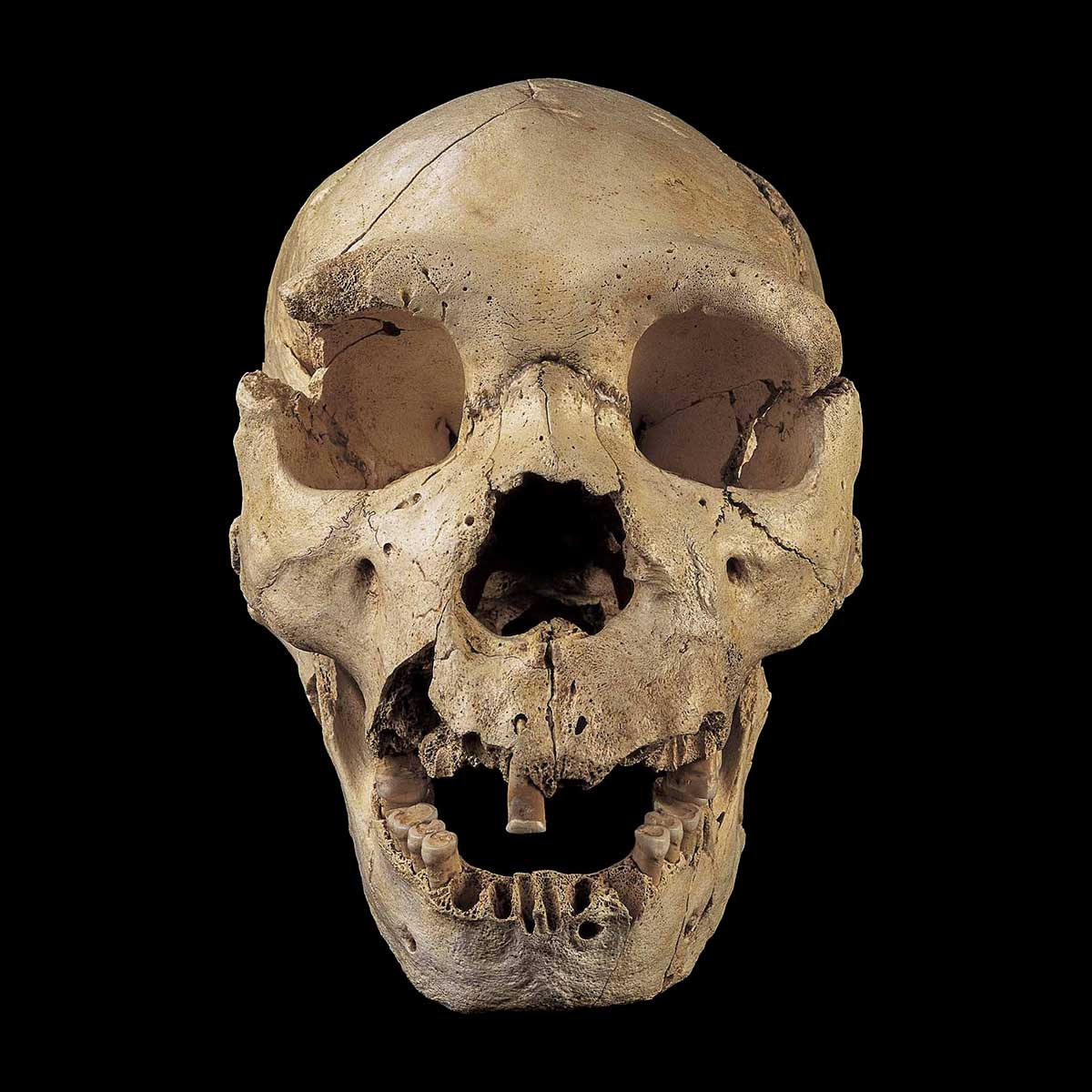 La puerta que hace hablar a los muertos, amenazada